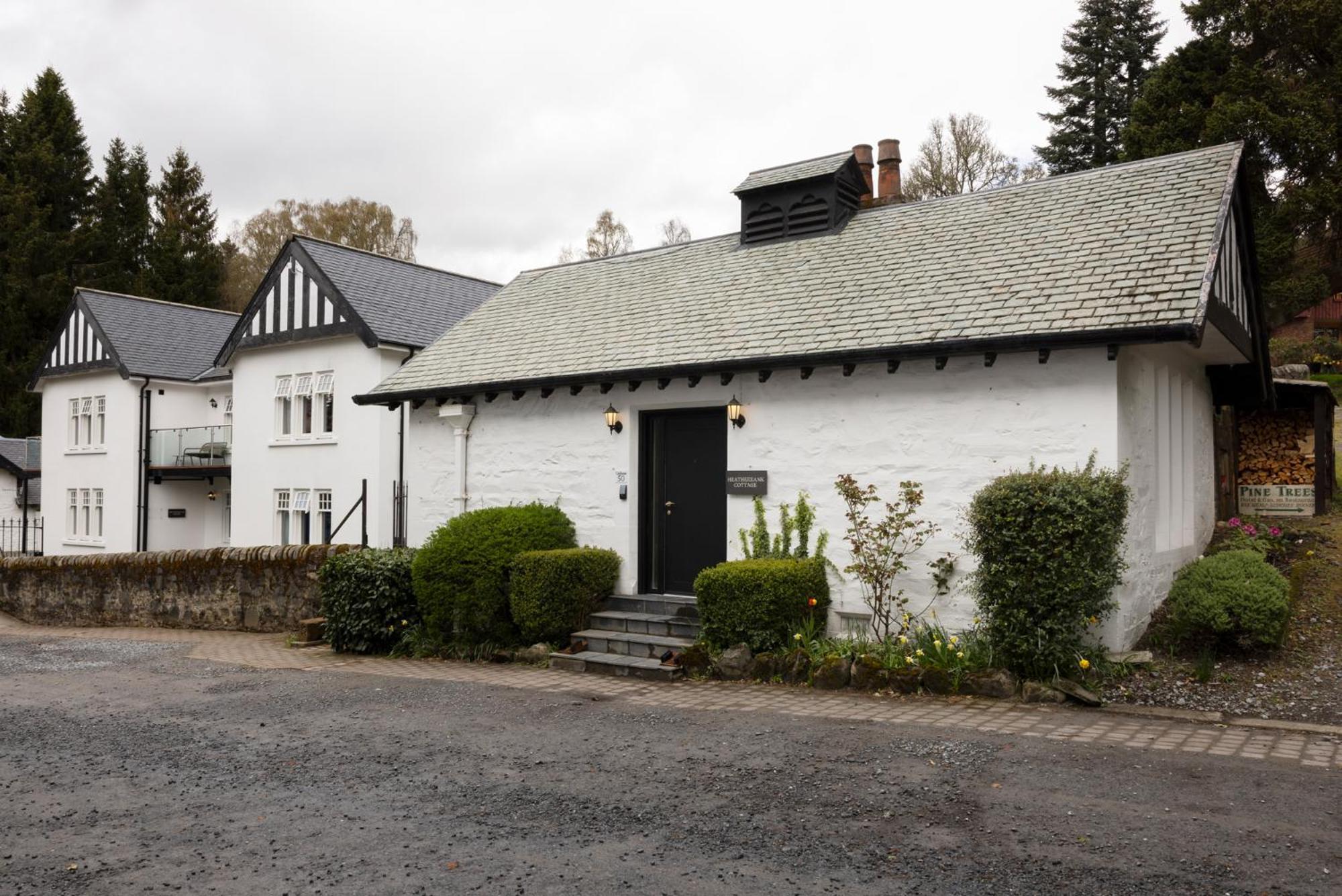 Pine Trees Country house *